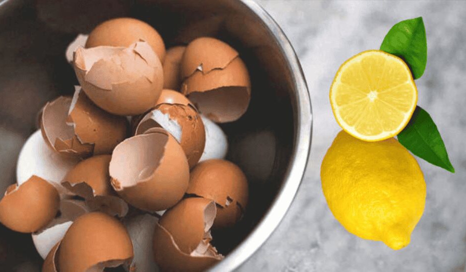 yumurta kabugu ve limon suyunu karistirin faydasi inanilmaz saglik haberleri