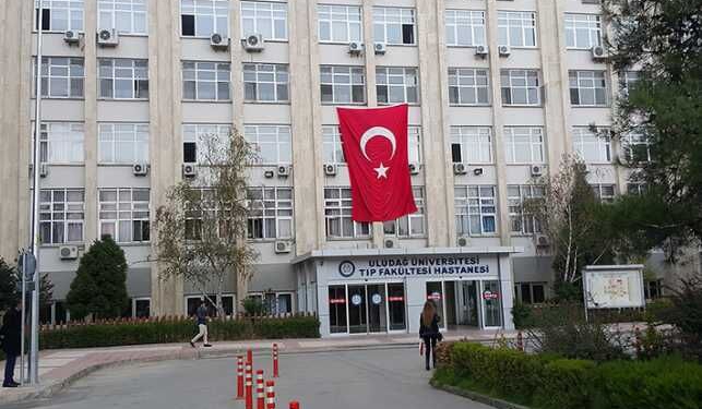 inegol online
