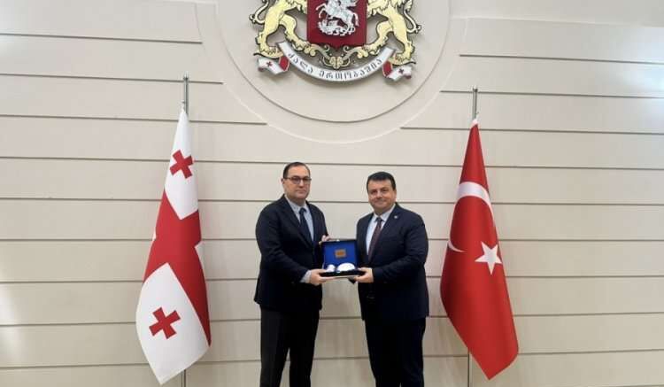 Hasan Öztürk, Gürcistan Büyükelçisi Janjgava'yı ziyaret etti