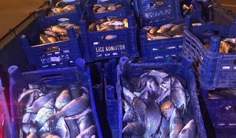 Elazığ’da 600 kilo kaçak balık avına 10 bin TL ceza