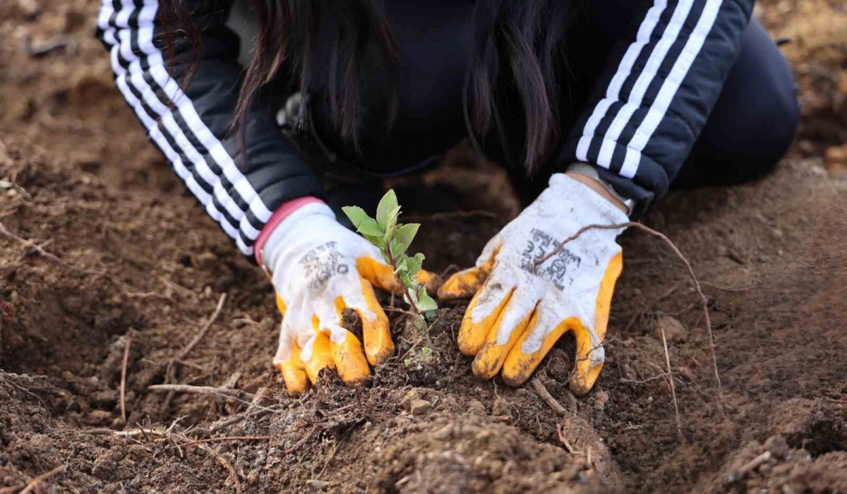 Yeşil Dönüşüm Ormanları Projesi, 80 bin metrekare yeşil alan oluşturdu