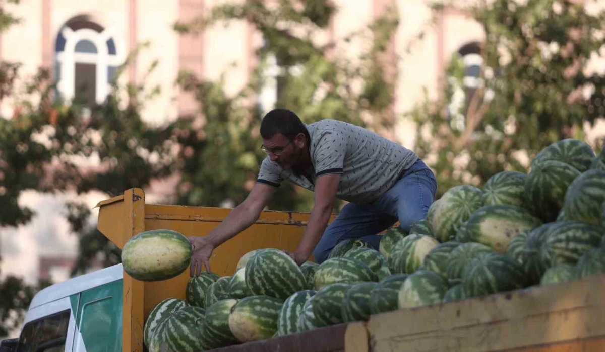 Tarlada kalan karpuz, Bursalılara ücretsiz dağıtıldı