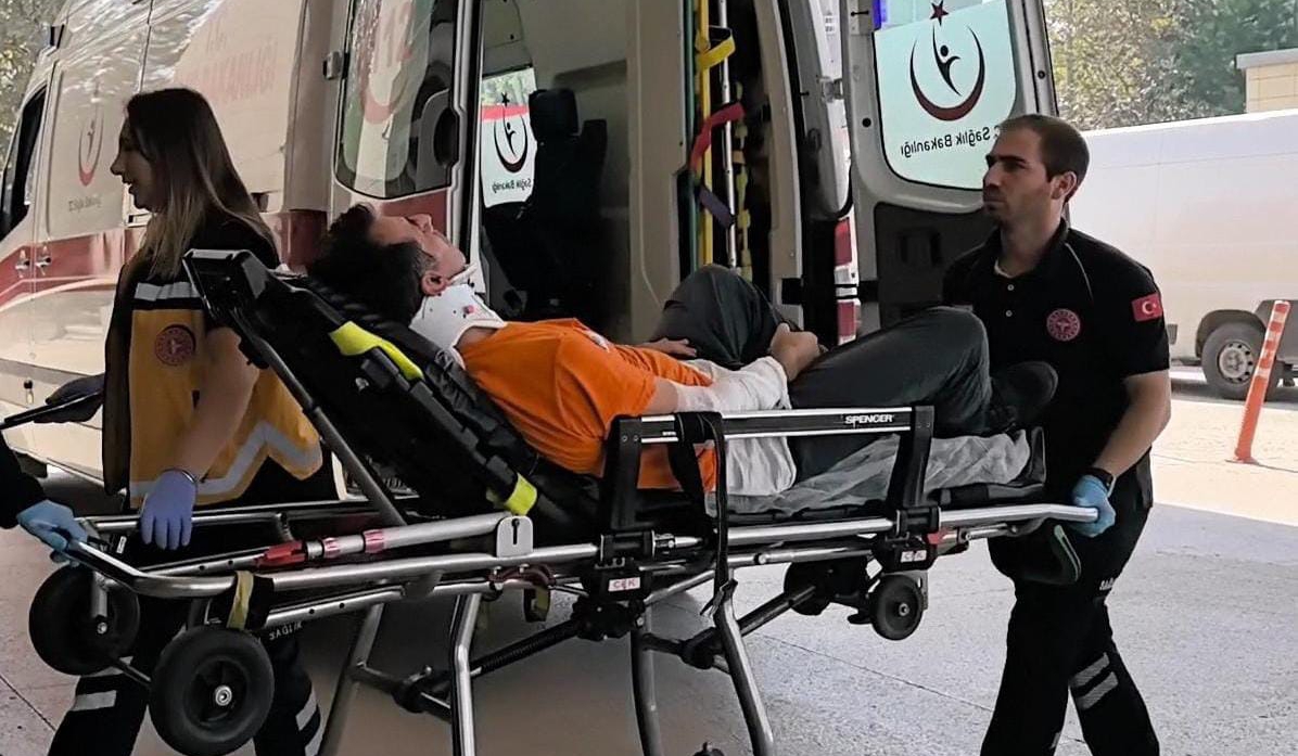 Ceviz toplamak isterken hastanelik oldu