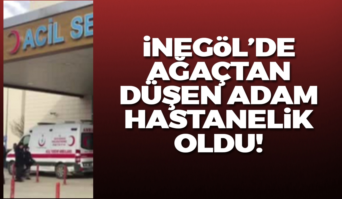 İnegöl'de ağaçtan düşen adam hastanelik oldu