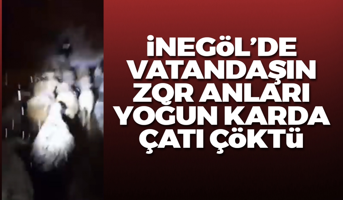 İnegöl'de ağılın çatısı çöktü, yoğun karda koyunlarıyla yola düştü