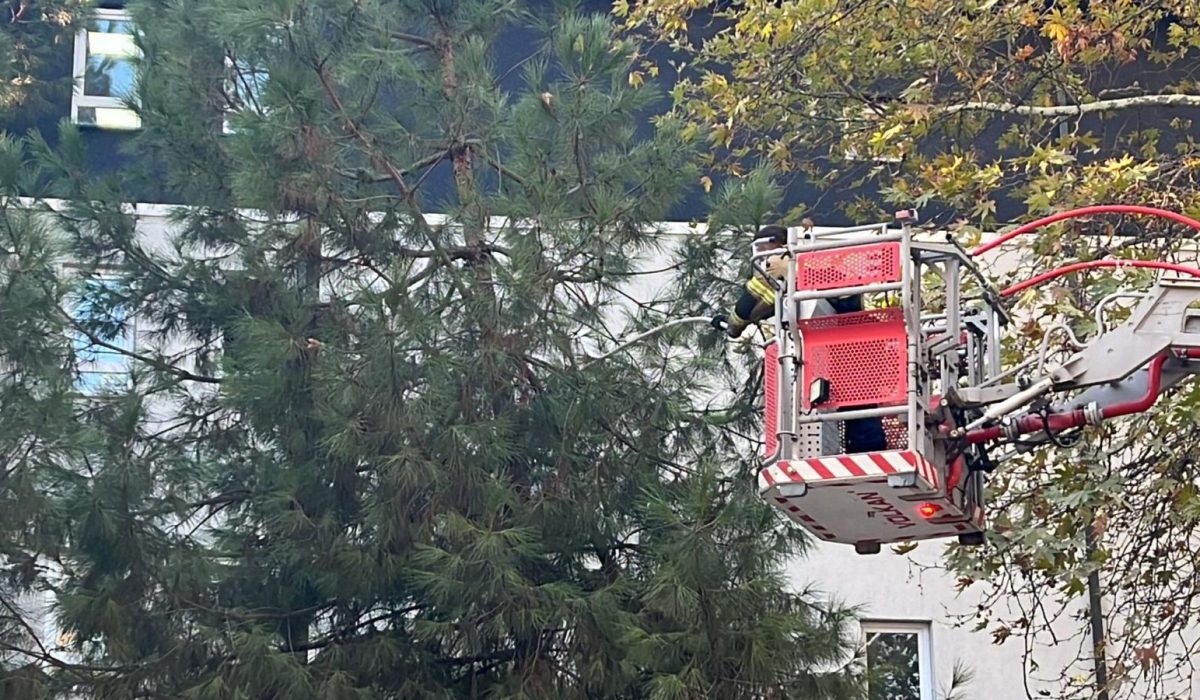 İnegöl'de sabahın ilk ışıklarında itfaiyeden kurtarma operasyonu