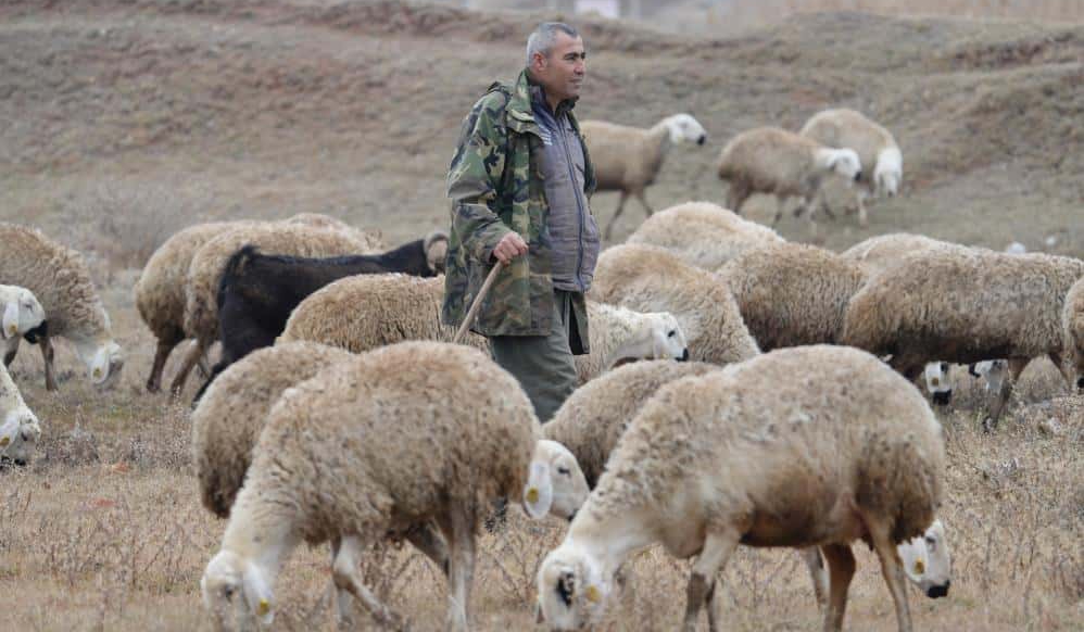 Şehirden Köye Dönüşün Başarı Öyküsü: Kazım Bozkurt