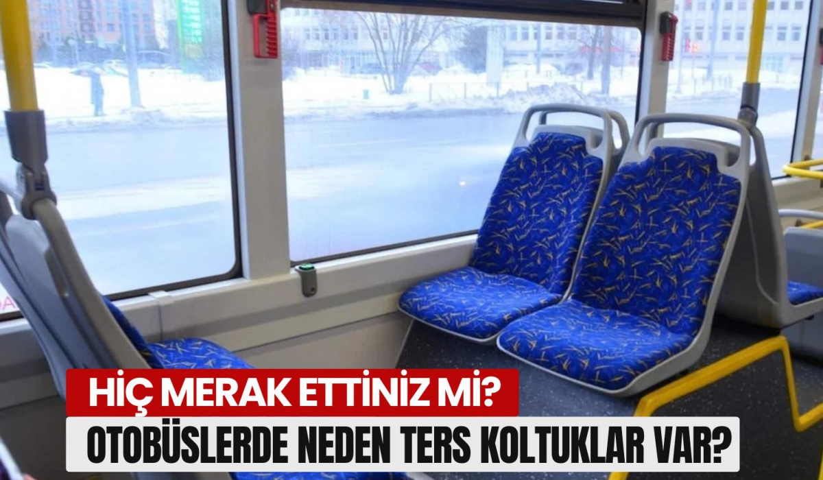 Hiç merak ettiniz mi, Otobüslerde Neden Ters Koltuklar Var? İşte Sebebi