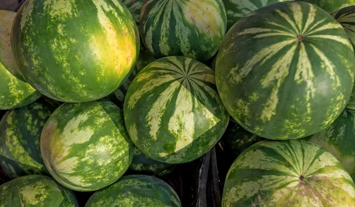 Karpuz Seçerken Dikkat Edilmesi Gereken 5 İpucu