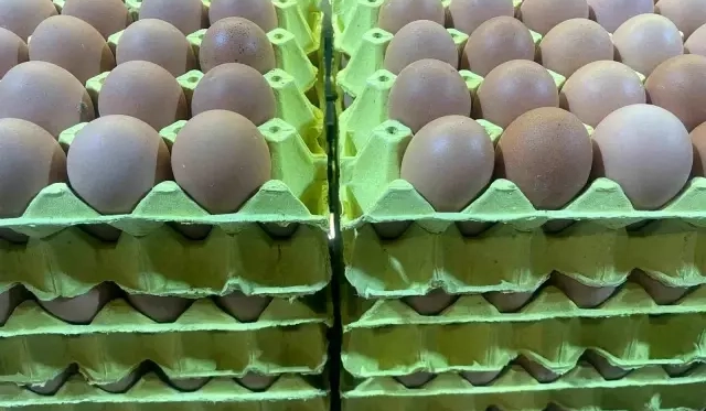 Ramazan Sonrası Yumurta Fiyatlarında Düşüş Başladı