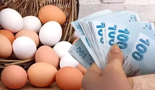Yumurta deyip geçmeyin! Altını solladı