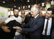 İnegöl’de küçükbaş hayvancılık festivali başlıyor