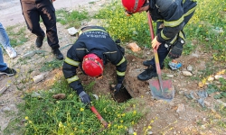 Kuyudan çıkanı görünce şaşkınlığını gizleyemediler