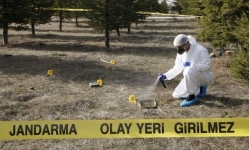 İnegöl'de 29 yaşındaki genç ağaçlık alanda ölü bulundu
