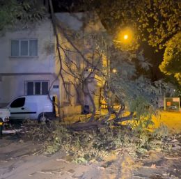 Bursa’da şiddetli rüzgar ağacı devirdi, yol kapandı