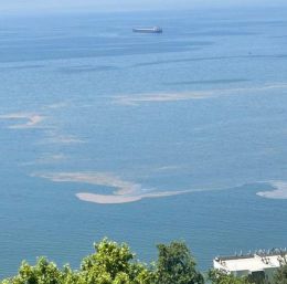 Marmara Denizi’nde müsilaj endişesi