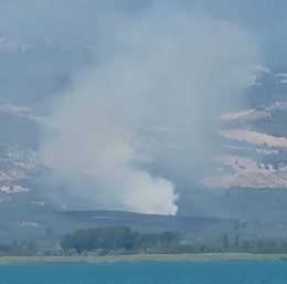 İznik’te orman yangını