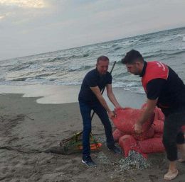 Kaçak avlanılan 5 bin 500 kilo kum şırlanı denize bırakıldı