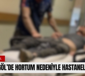 İnegöl'de hortum nedeniyle hastanelik oldu!