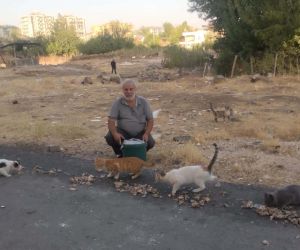 Diyarbakır’ın Derman Baba’sı sokak hayvanlarını unutmadı