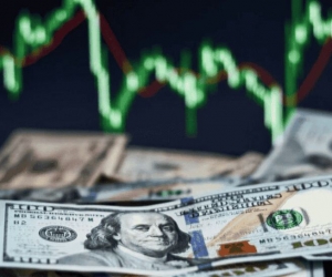 Google doların 24 TL'ye düştüğünü açıkladı 