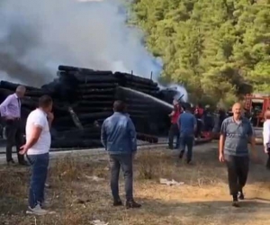 Tomruk yüklü tır alevlere teslim oldu