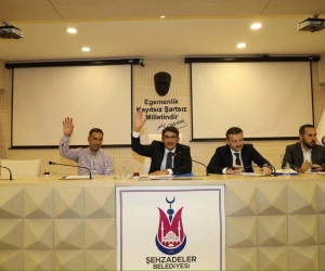 Başkan Çelik, devam eden projelerle ilgili meclis üyelerini bilgilendirdi