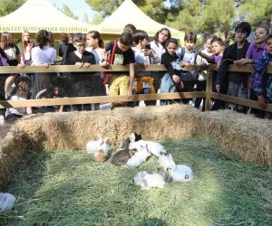 Gaziantep Büyükşehir, Dünya Hayvanları Koruma Günü’nde farkındalığa dikkat çekti