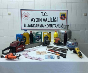 Hırsızı yakalamak için bin 200 saatlik kamera görüntüsü izlediler