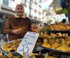 İnsanlar zehirli sanıp korkuyor, faydaları saymakla bitmiyor