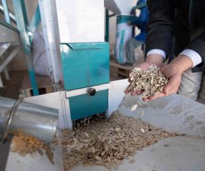Konya Büyükşehir’den Çumra’daki kabak çekirdeği üreticisine eleme tesisi desteği