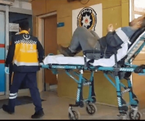 Arı sokması orman işçisini hastanelik etti