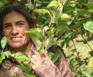 MİT, PKK/KCK Hakurk Toplumsal Alan sözde sorumlularından Tekoşin Cizre kod Arslan’ı etkisiz hale getirdi