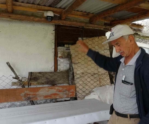 Güvenlik kamerasına zarar veren ayı görüntülere yansıdı