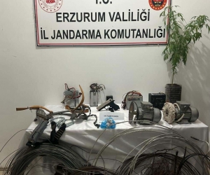 Kablo hırsızları jandarmadan kaçamadı
