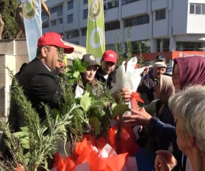 Bafra’da 40 bin fidan dağıtıldı