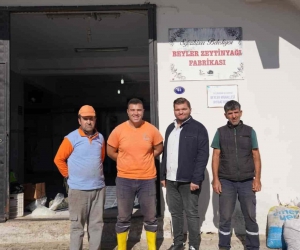 Seferihisar Belediyesi Zeytinyağı Fabrikası üreticiye can simidi oldu