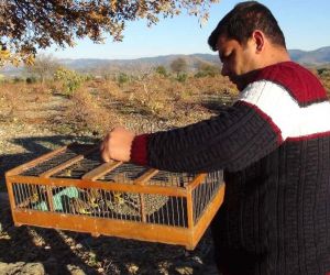 Gaziantep’te 100’e yakın Kanarya ve saka kuşu ele geçirildi