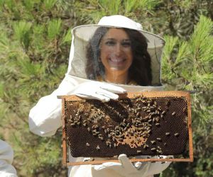 Arıcılara teorik ve uygulamalı arıcılık ile bal arısı zehri üretimi eğitimi