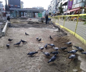 Subaşı’nın güvercinleri Hamidiye Çeşmesi’ni güzelleştirecek