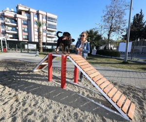 Gaziemir’de köpeklere özel park açıldı