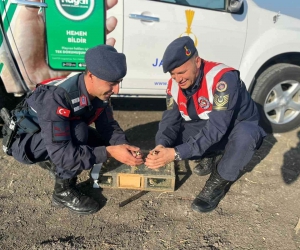 Tuzakla yakalanan saka kuşları doğaya salındı