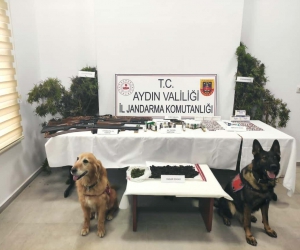Uyuşturucular jandarmanın hassas burunlarına takıldı