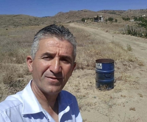 Ceviz ağacından düşen muhtar ağır yaralandı