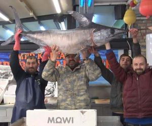 77 kiloluk kılıç balığını sırtladığı görüntüler balıkçıyı fenomen haline getirdi