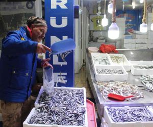 Sinop’ta sert hava koşulları balık tezgâhlarını etkiledi