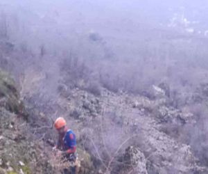 Diyarbakır’da kayalıklarda mahsur kalan inek AFAD ekiplerince kurtarıldı