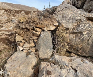 Siirt’te kaçak avcılardan yabani hayvanlara tuzak