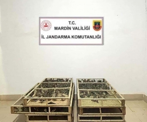 Bin adet saka kuşu bulunduran şahsa 1 milyon 200 bin lira ceza