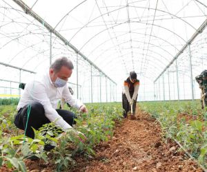 Büyükşehir’den mevsimlik tarım işçilerine destek